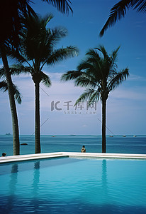 一个有棕榈树的海洋游泳池