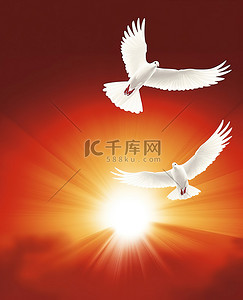 红底白鸽背景图片_两只白鸽飞过橙色的太阳