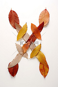 秋叶背景图片_白色字母 x 上面有秋叶，另一边有秋叶
