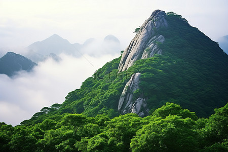 缭绕云雾背景图片_山顶云雾缭绕，绿树成荫