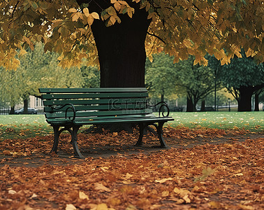 周围有树叶的公园长椅