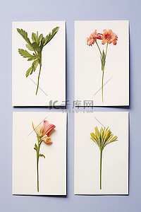 打印照片背景图片_一组四根花茎，打印在单独的照片上