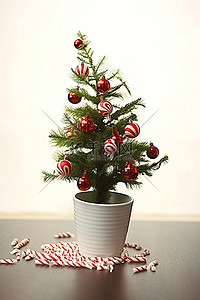 圣诞节花瓶背景图片_白色花瓶里的圣诞树，上面有拐杖糖