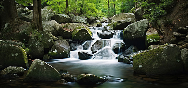 瀑布流经茂密的岩石和树叶森林