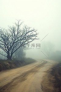 雾天行驶背景图片_雾天沿途的一条土路，有树木