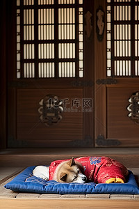 门地板背景图片_一只狗正躺在一座古屋内的地板上