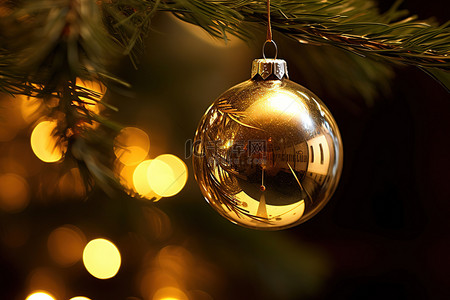 强光前树枝上的圣诞装饰