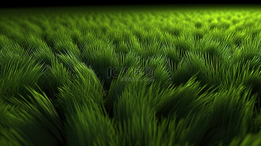 草地特写背景图片_背景 3D 渲染绿草纹理的特写