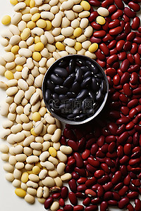 小豆子背景图片_一张小尺寸的白色照片，其中包含精选的不同类型的豆子