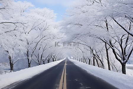 冬天雪的背景图片_有冬天雪的路 冬天风景