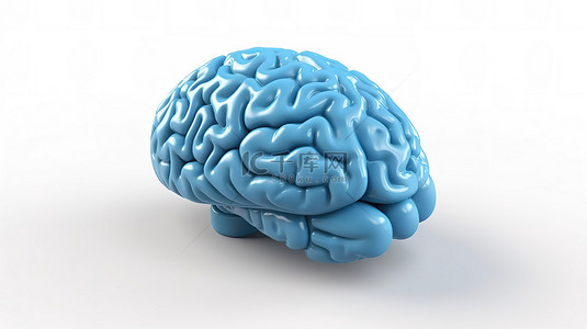 在白色背景上呈现的蓝色大脑 3d 模型
