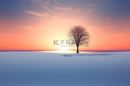 夕阳背景下，一棵孤独的树矗立在雪中
