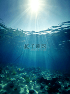 海水海平面珊瑚海底世界摄影广告背景