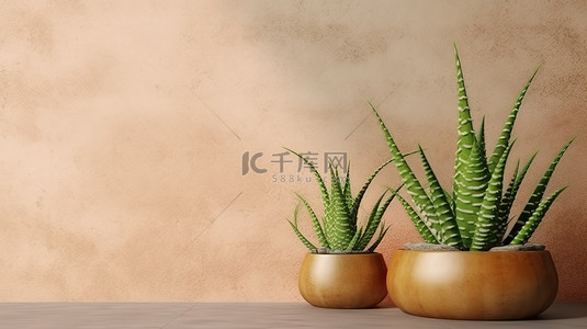 绿色植物海报背景背景图片_3D 渲染绿色陶罐中芦荟的水平横幅