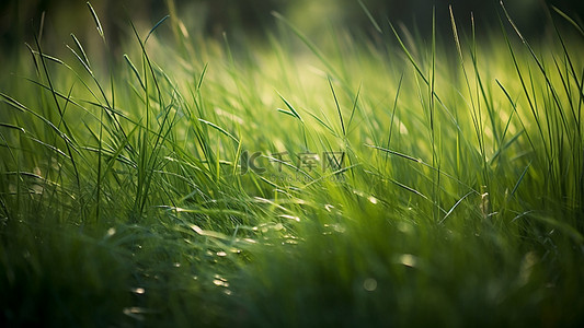 绿色植物底纹背景图片_草地植物大地茂盛