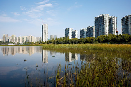 主要的计量设备背景图片_这座城市主要是建筑物和草地，背景是湖泊