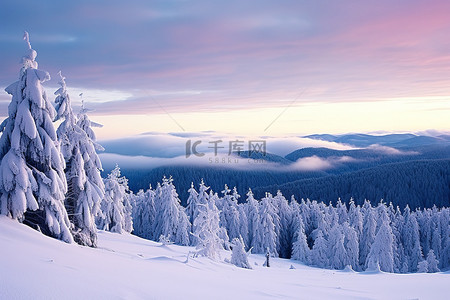 山雪背景图片_冬天的场景，有雪覆盖的树木和山景
