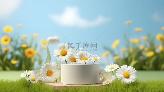 体验背景图片_体验逼真的 3D 夏季场景，背景为云朵雏菊草叶和产品讲台