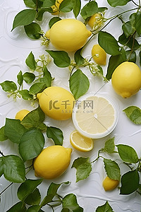 白色杂乱平坦表面上的柠檬和常春藤