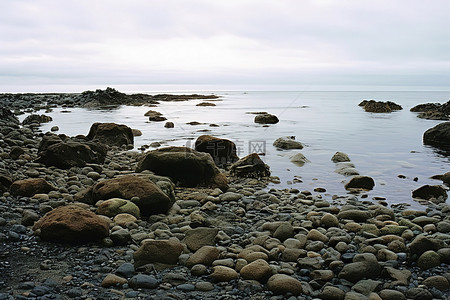 阴天背景图片_阴天，海岸上有岩石和石头