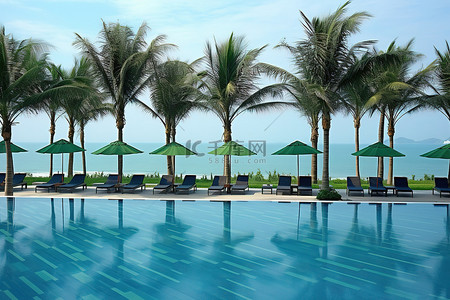 日光庭院背景图片_靠近大海的开放式游泳池，配有遮阳伞和棕榈树