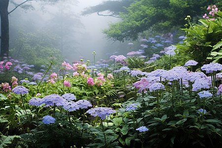 一个在有雾的环境中生长着鲜花的花园