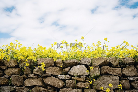 有黄色花朵和云彩的墙壁