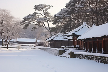 三座传统建筑被雪衬托