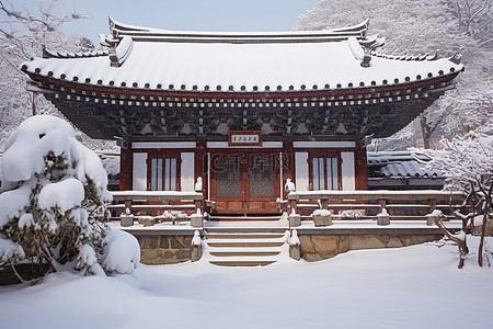 韩国的房子被雪覆盖了