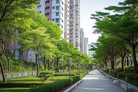 一条铺好的绿色小路两旁种满了树木和公寓