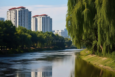 有河流的森林背景图片_靠近建筑物的城市河流，有树木和建筑物