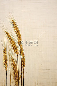 木质背景的两穗小麦