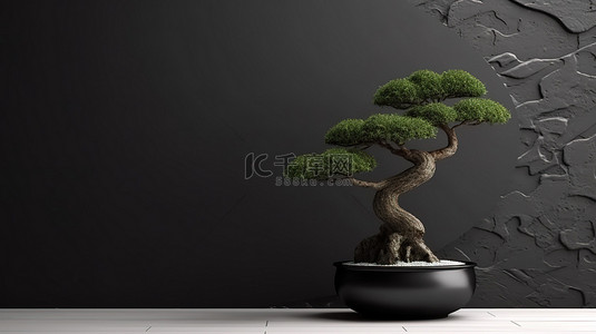 日本模板背景图片_模板设计的 3D 渲染，盆景树放在盆中，靠在空房间的黑色石膏墙上