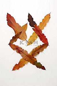 秋叶在白色表面上制成字母 x