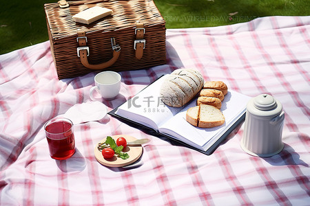 白天野餐桌和毯子上的三明治