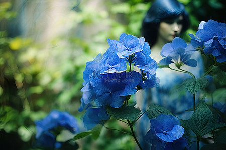 花园里盛开的蓝色花朵