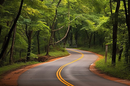 反向弯道背景图片_森林里的一条橙色路