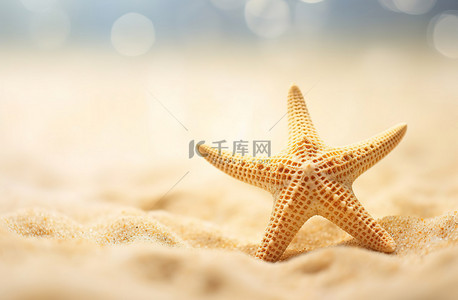 想起相爱背景图片_表面上的海星让人想起温暖日子里的沙滩