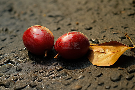 j煎饼果子背景图片_地上有两个红色的果子