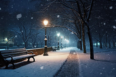 的公园背景图片_树木附近有一座灯火通明的公园被雪覆盖