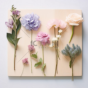 膠花背景图片_木板上有四种不同的花