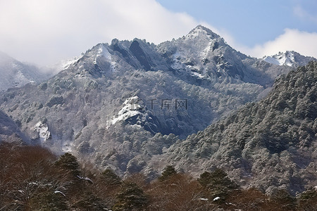 和牛雪花牛里脊背景图片_白雪皑皑的山峰覆盖着树木和雪