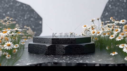 黑色水磨石背景图片_空六角形黑色水磨石讲台花田的 3D 渲染，用于产品展示