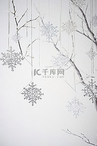白色背景树枝上挂着的节日雪花