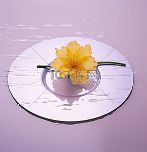 花金属背景图片_金属花盘，上面有一朵黄色的花