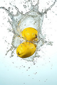 新鲜水果白色背景图片_白色和黄色背景水中的柠檬