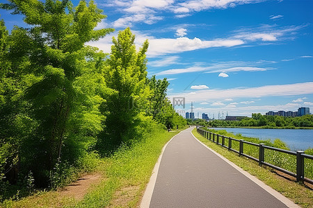 伯明翰城市自行车道，有自然区和绿树