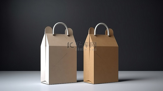 两个纸板箱上白色和牛皮纸棕色挂片包装的 3D 渲染