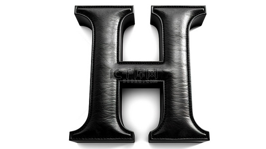 黑色的皮肤背景图片_3d 在白色背景上呈现大写字母 h，具有黑色皮革的皮肤纹理