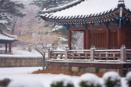 韩国传统韩屋 d 在雪中的德山宝塔